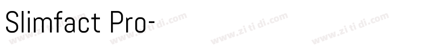 Slimfact Pro字体转换